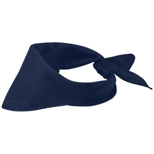 Herakles bandana (38341550)