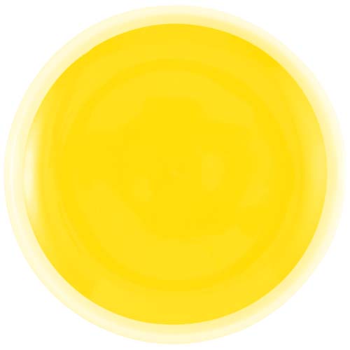 Flicka catch and play ball game