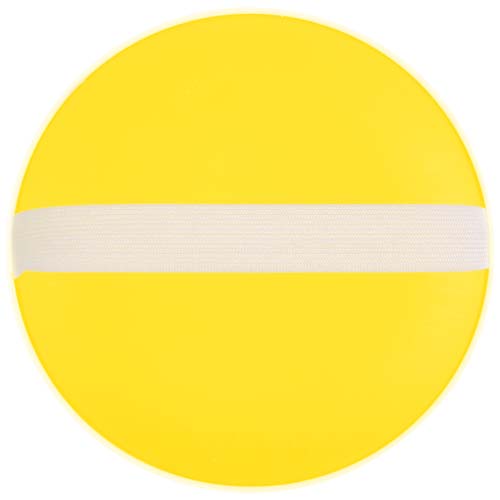 Flicka catch and play ball game