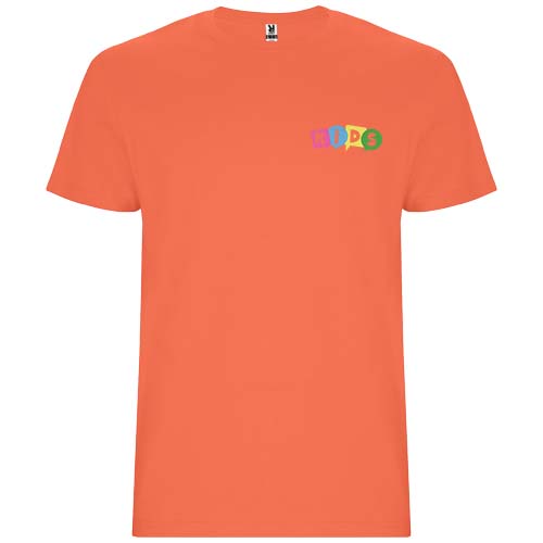 Stafford short sleeve kids t-shirt